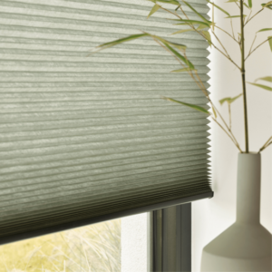 Duette Shades