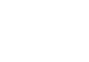 Violien logo wit